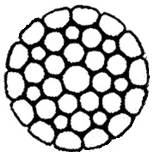    50   70